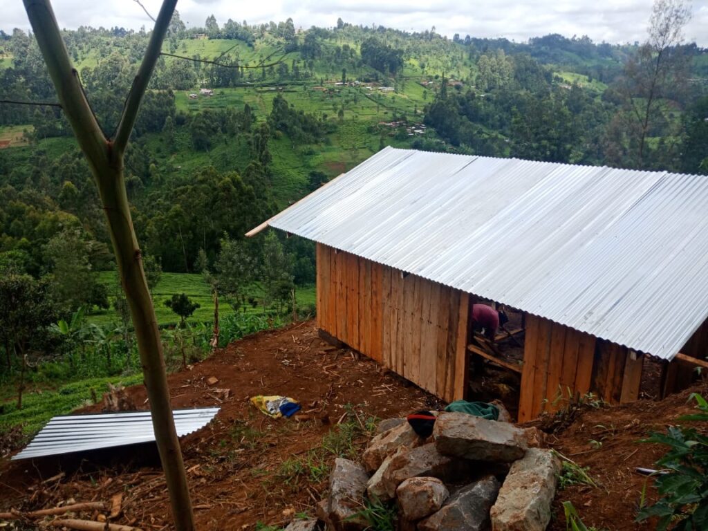 Update on Matthew & Mama Matthew