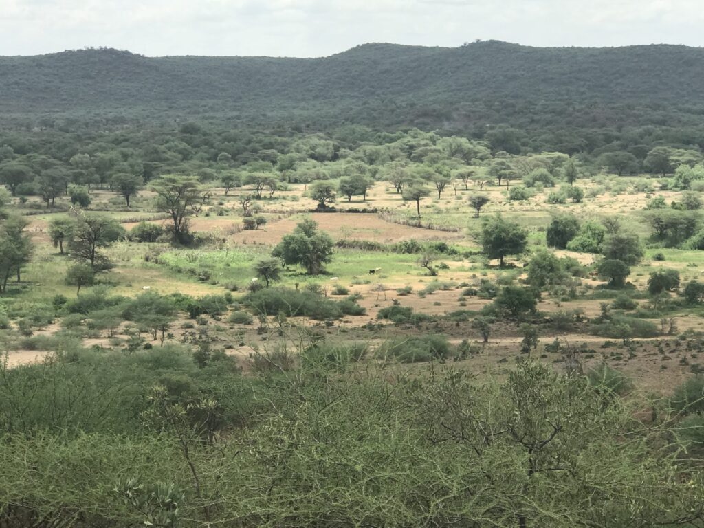 Farming Potential in Pokot