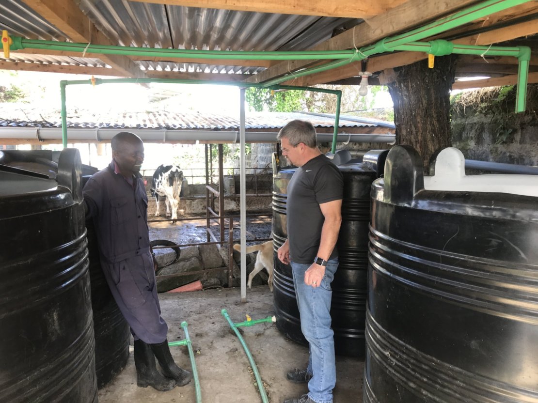 HCO aquaponics growing system